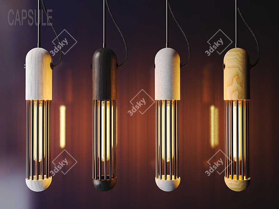 Industrial Loft Pendant Light 3D model image 2