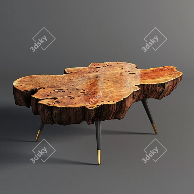 Natural Wood Slab Coffee Table 3D model image 1