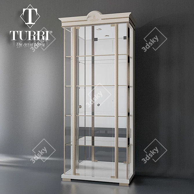 Classic Style Vertical Showcase with Mirror Back and Handcrafted Details 3D model image 1