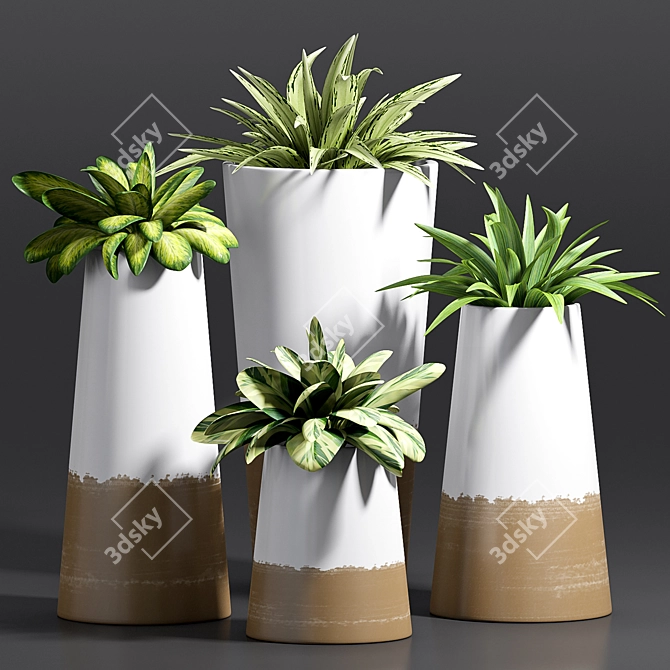 Modern Decorative Plant Set 3D model image 1