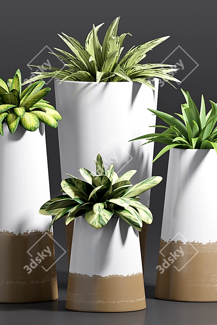 Modern Decorative Plant Set 3D model image 2