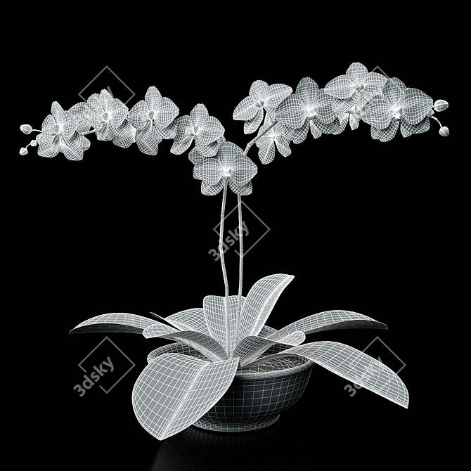 Title: Lilac Orchid Delight 3D model image 2