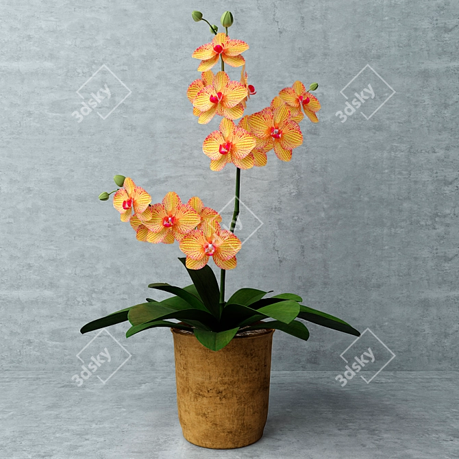 Sunny Yellow Orchid 3D model image 1
