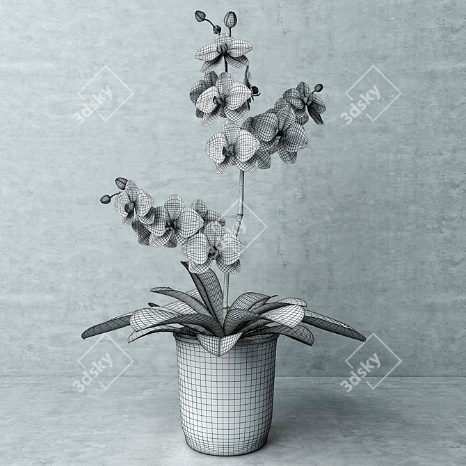 Sunny Yellow Orchid 3D model image 2