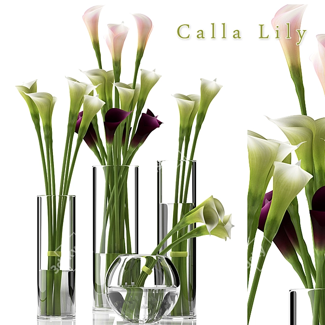 Elegant CALLA LILY 2 Sculpture 3D model image 1