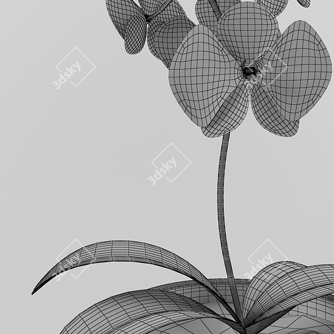 Lovely Plant 3D model image 3