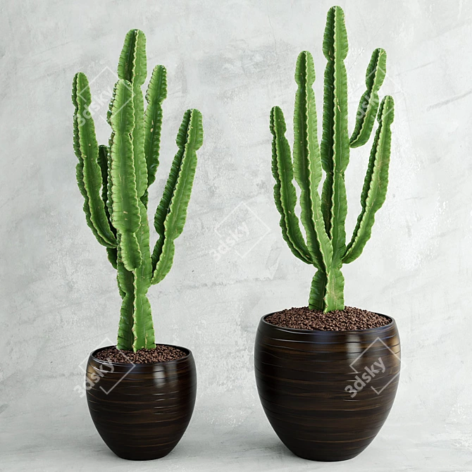 Archived Cactus Model with Textures & Materials 3D model image 1