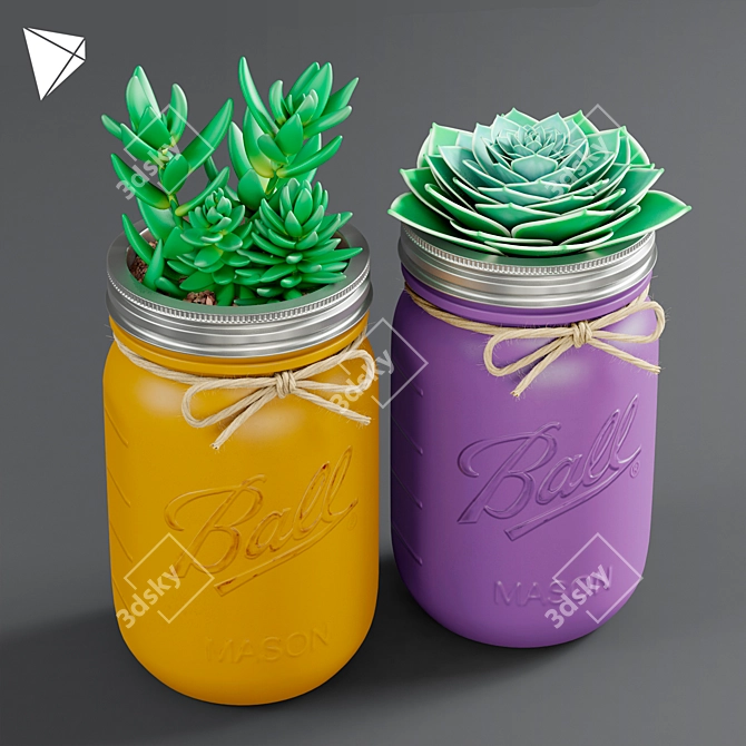 Mason Jar Succulent Duo 3D model image 1