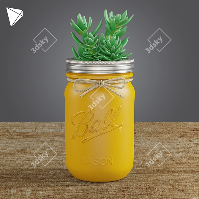 Mason Jar Succulent Duo 3D model image 2