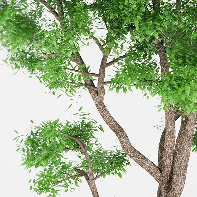 20-Tree: High Poly, Ultimate Joy 3D model image 2