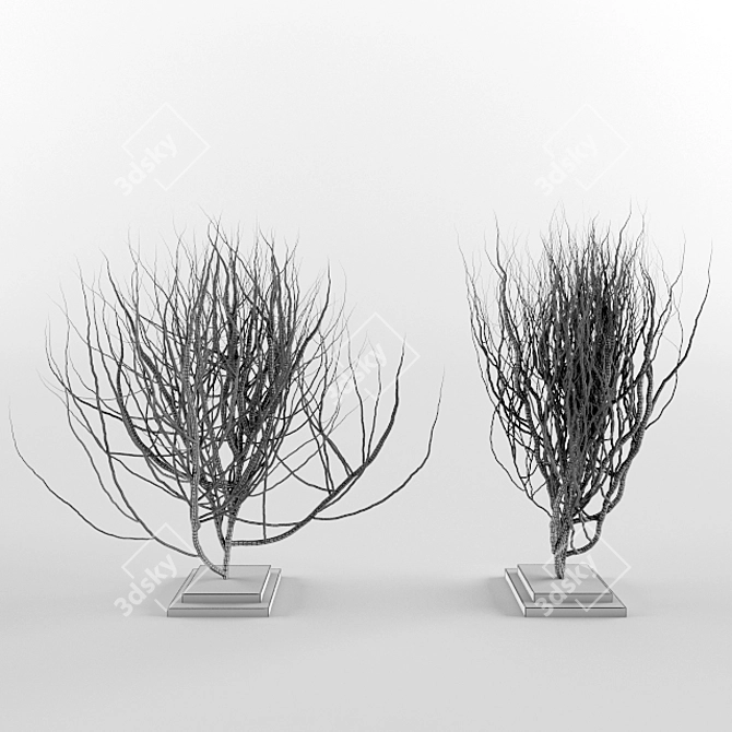 Elegant Bush Decor - Textured Beauty 3D model image 2