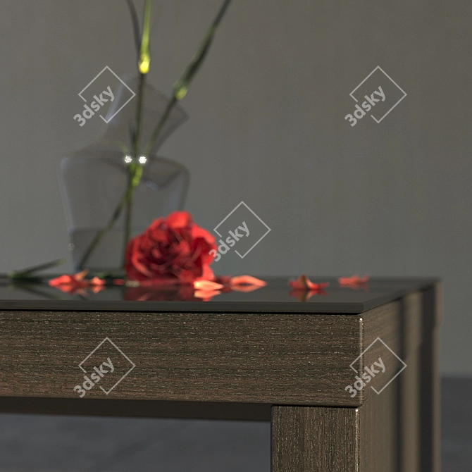 Viano Zegen Coffee Table 3D model image 2