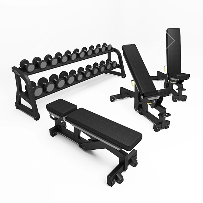 Technogym Pure Strength Adjustable Bench & Free Weights 3D model image 1