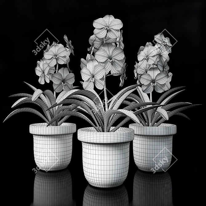 Vibrant Vanda Orchid 3D model image 2