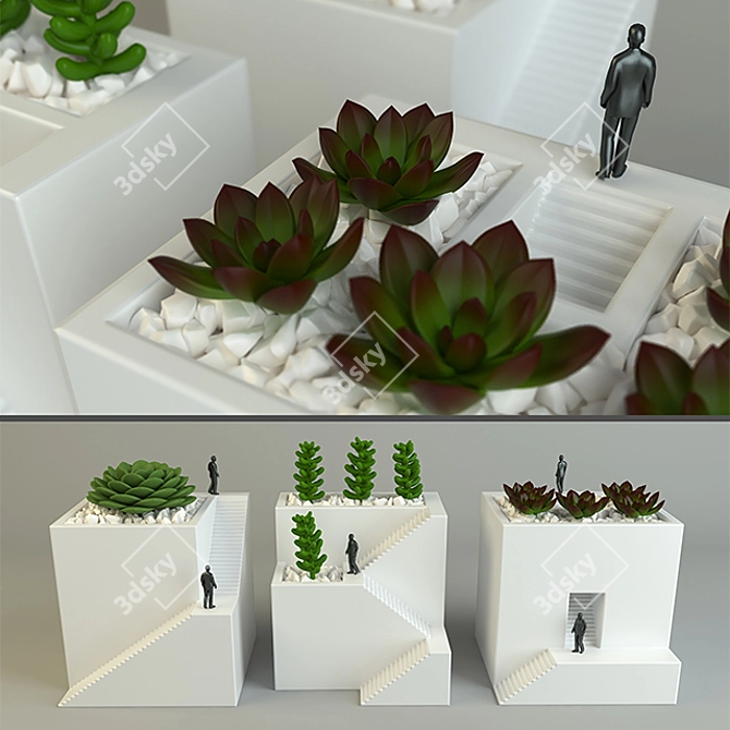 Quirky Cube Vases with Cactus 3D model image 1