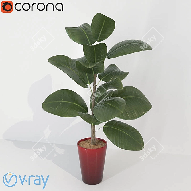 Pipal: Vray & Corona Versions 3D model image 1