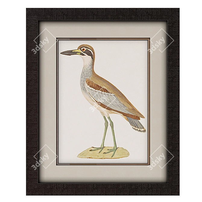 Coastal Seabird Framed Art 3D model image 2