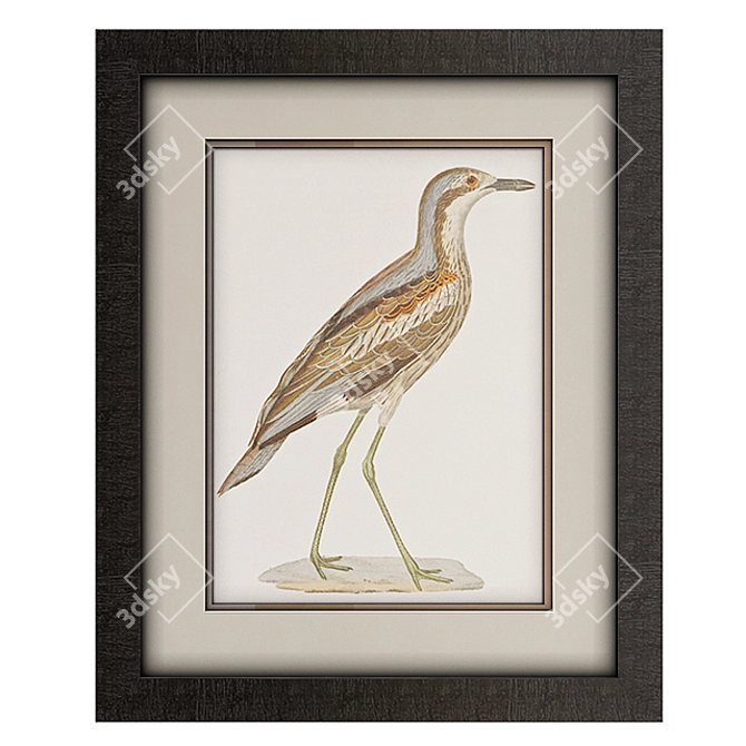 Coastal Seabird Framed Art 3D model image 3