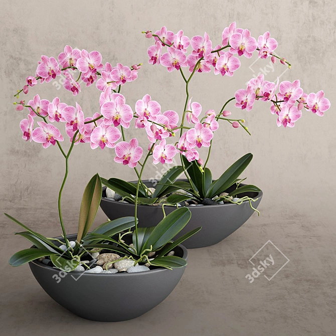 Elegant Orchid Bouquet 3D model image 1