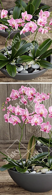 Elegant Orchid Bouquet 3D model image 2