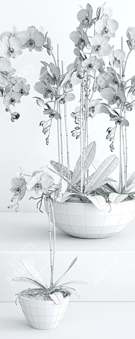 Elegant Orchid 2: 3D Flower Model 3D model image 3