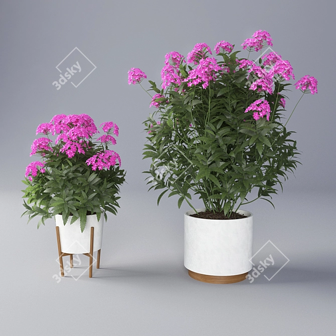 Vibrant Verbena Flower Pot 3D model image 1