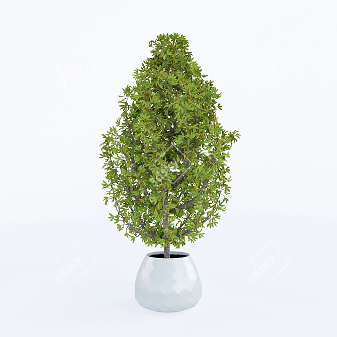 Elegant Potted Plant for Home Decor 3D model image 1