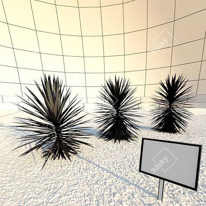 Variegated Yucca Plant - 3 Sizes 3D model image 3