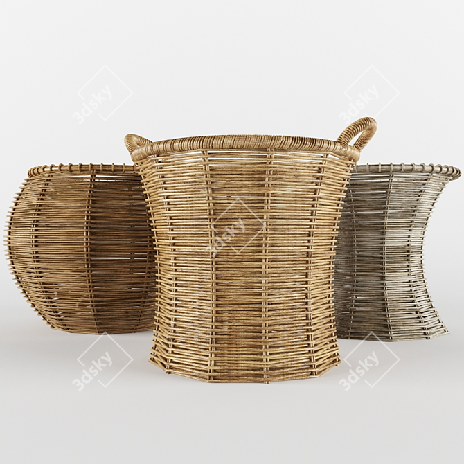 Versatile Rattan Baskets: 3 Designs 3D model image 1