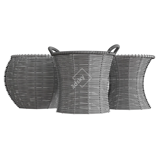 Versatile Rattan Baskets: 3 Designs 3D model image 4