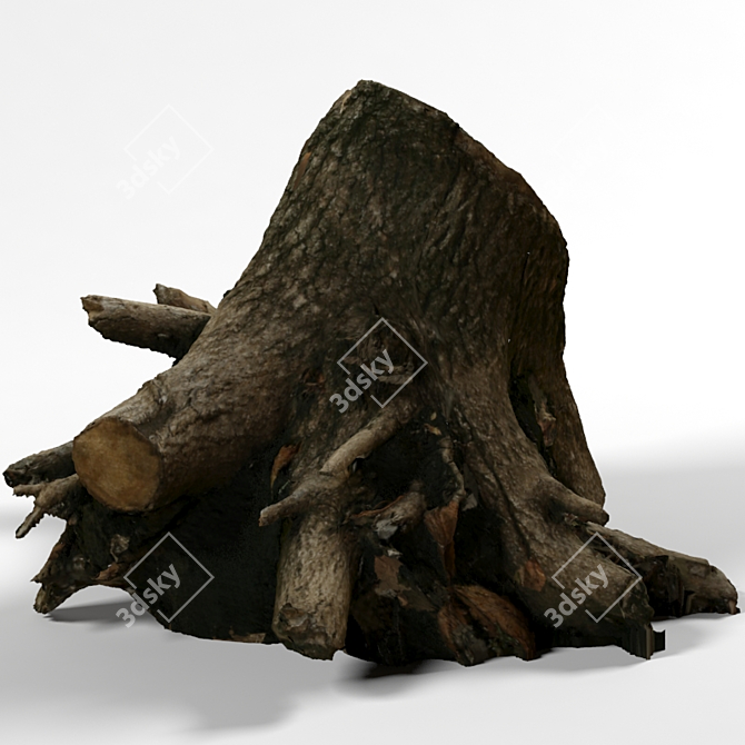 Vibrant Vray Displacement Stump 3D model image 2