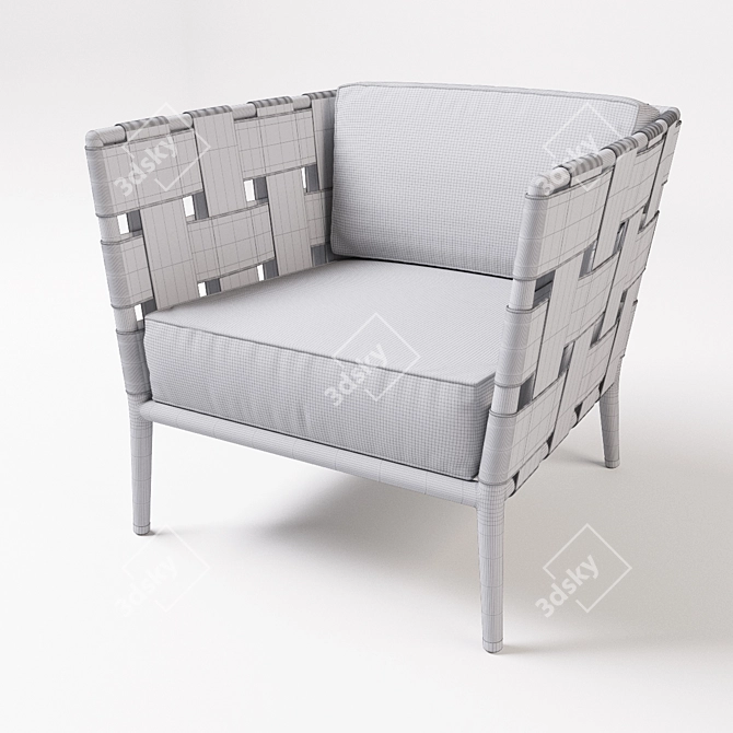 Sleek Cane Line Conic Armchair 3D model image 3