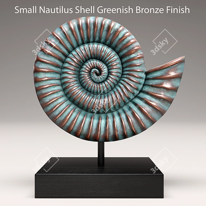 Tropical Nautilus Shell Décor 3D model image 1