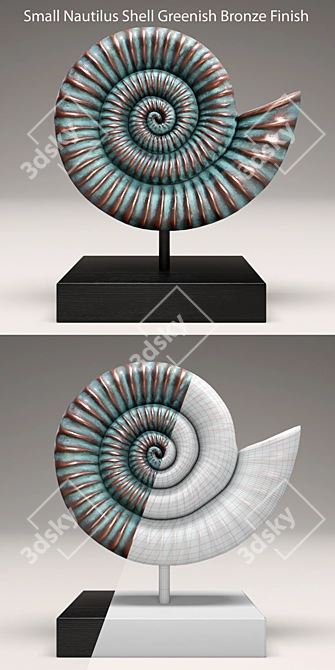 Tropical Nautilus Shell Décor 3D model image 2