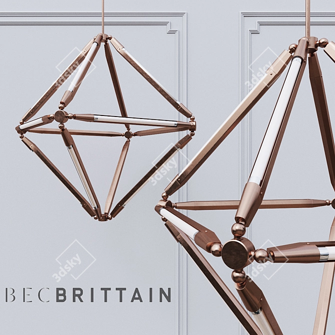 Elegant Illuminating Sculpture: Bec Brittain_SHY 10 3D model image 1