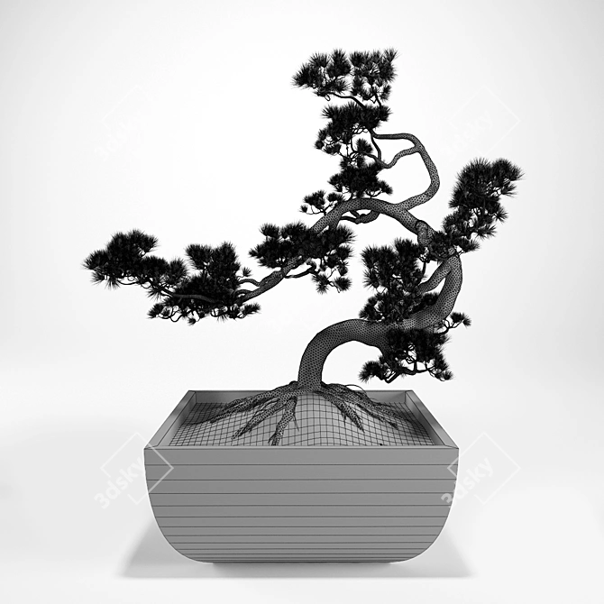 Miniature Pine Bonsai: Precise Replica in Stunning Detail 3D model image 3