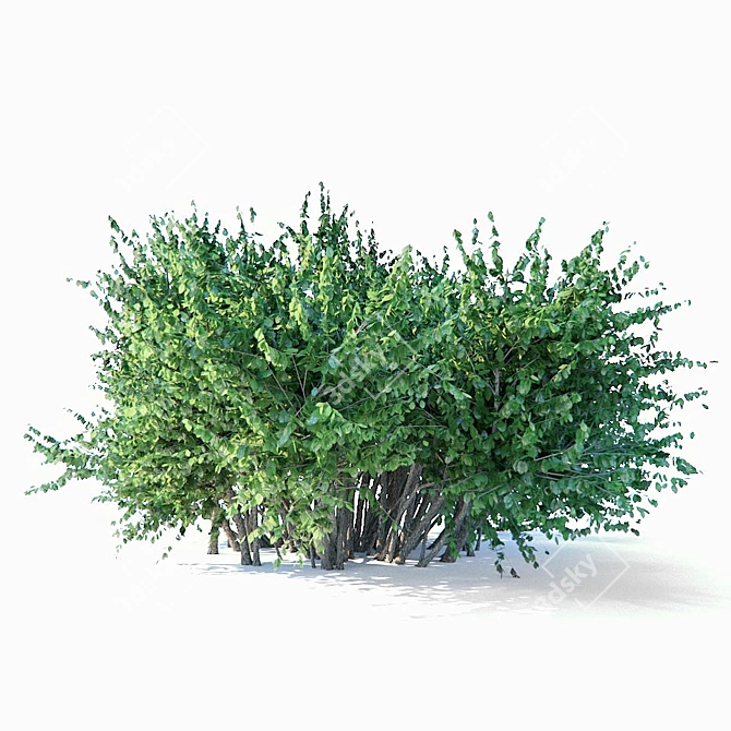 Title: High-Poly Bush Model 3D model image 1