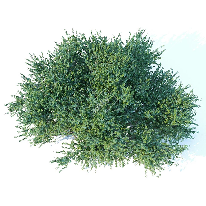 Title: High-Poly Bush Model 3D model image 2