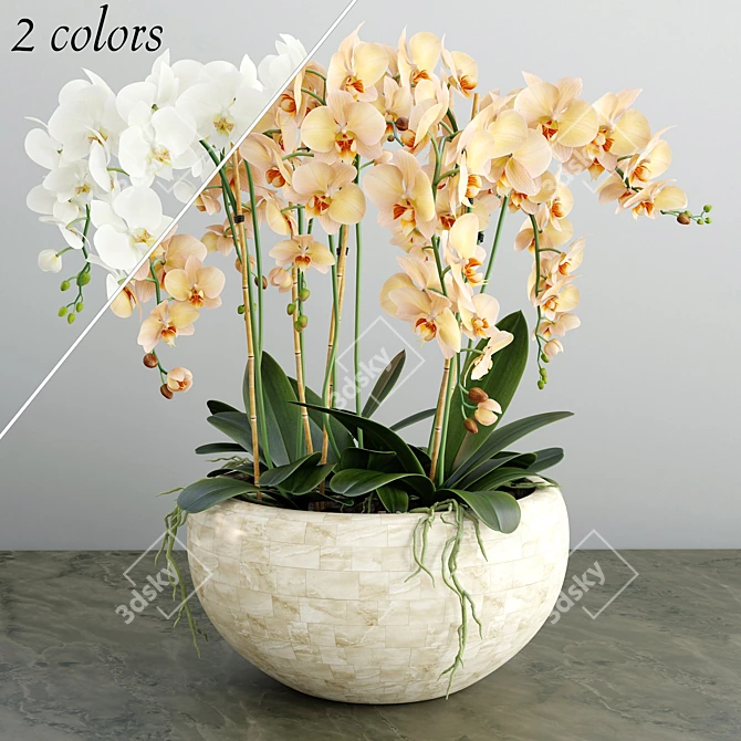 Title: Delicate Orchid Bloom 3D model image 1