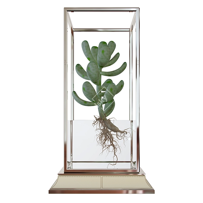 Cacti Vase Stand – Elegant Collection 3D model image 2