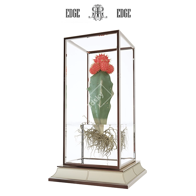 Stylish Cactus Stand: Vase Included 3D model image 1