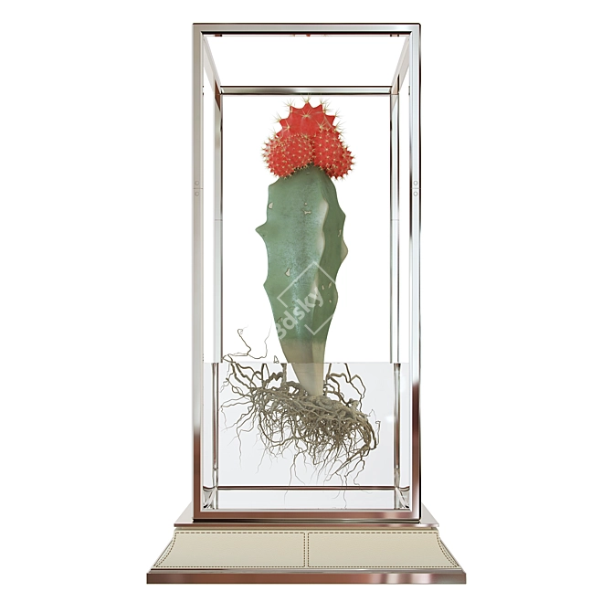 Stylish Cactus Stand: Vase Included 3D model image 2