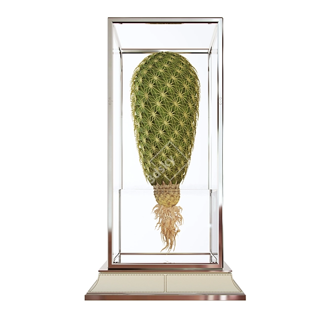 Stylish Cactus Vase Stand 3D model image 2