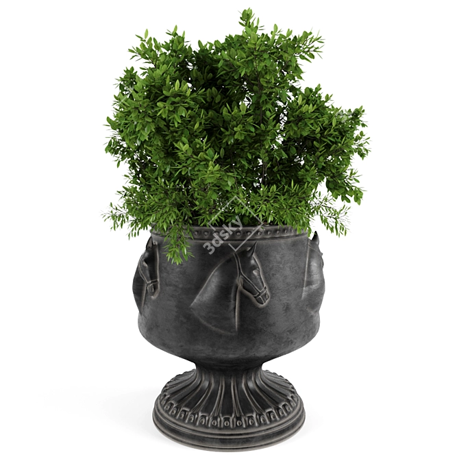 Lush Greenery in a Pot 3D model image 1