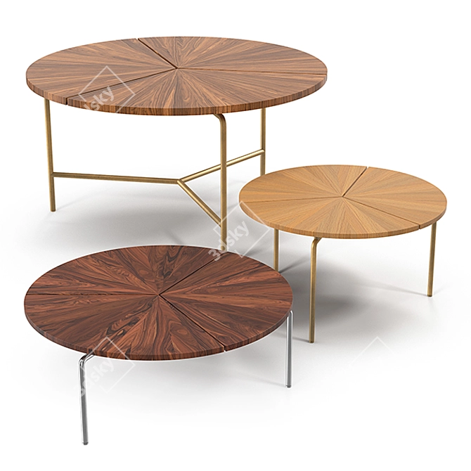 Circular Table Collection: Elegant and Functional 3D model image 1