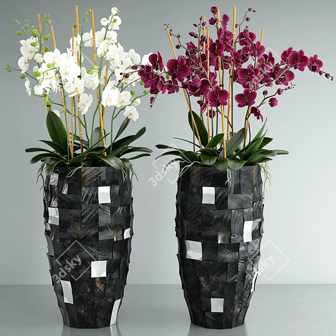 Orchid 6: High-Quality Flower 3D Model 3D model image 1