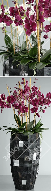 Orchid 6: High-Quality Flower 3D Model 3D model image 2