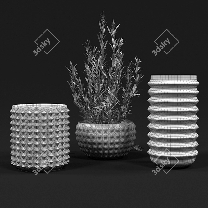 Rosemary Vases: Aromatic and Stylish 3D model image 2