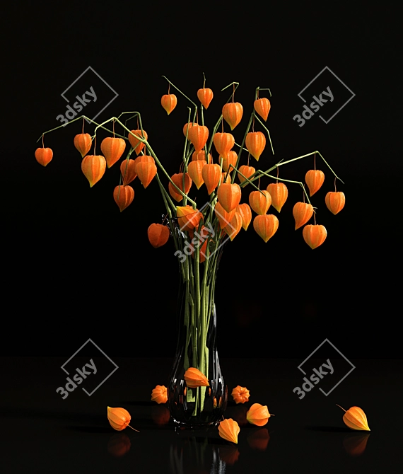 Chinese Lanterns in Vase 3D model image 1