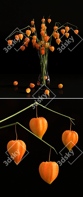 Chinese Lanterns in Vase 3D model image 2